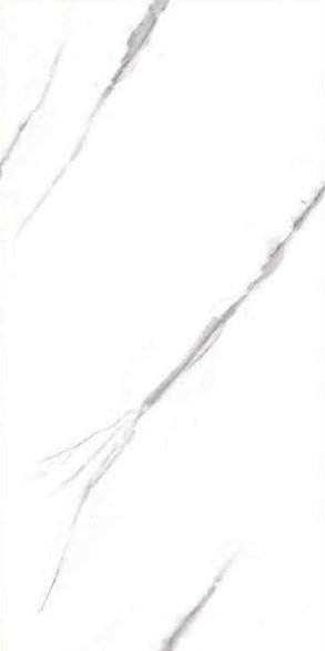 Qiangsheng 612AC041