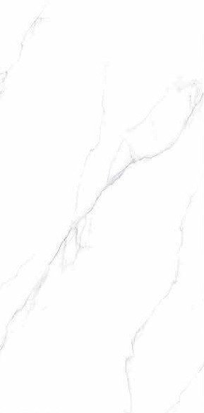 Qiangsheng 612QS003