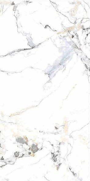 Qiangsheng 612QS029