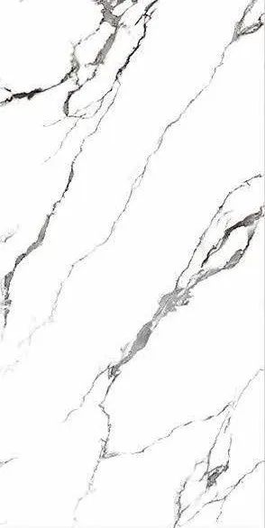 Qiangsheng 612QS001
